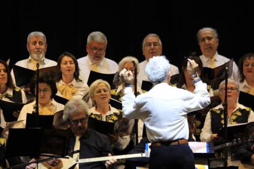 Haber Resim Galeri