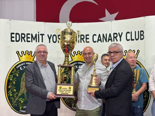 Haber Resim Galeri