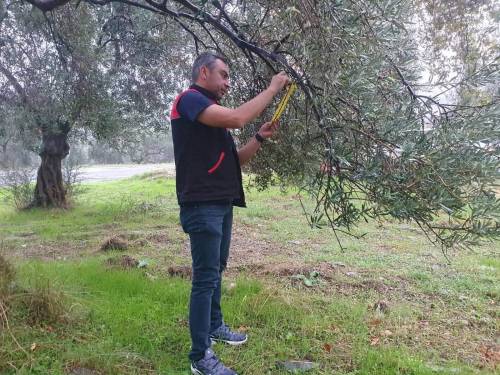 Haber Resim Galeri