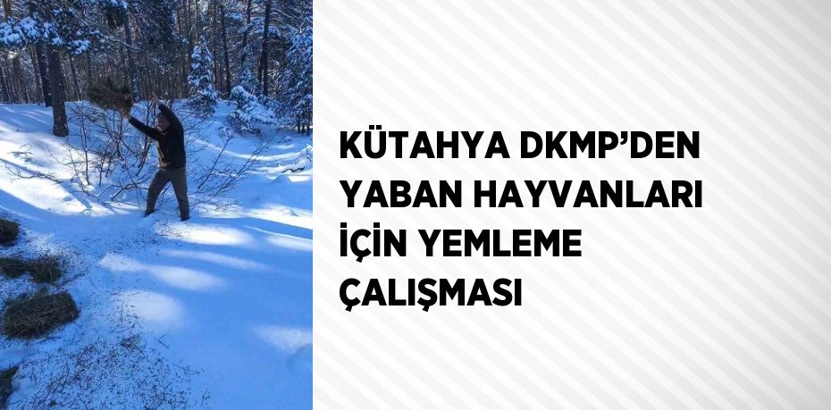 KÜTAHYA DKMP’DEN YABAN HAYVANLARI İÇİN YEMLEME ÇALIŞMASI