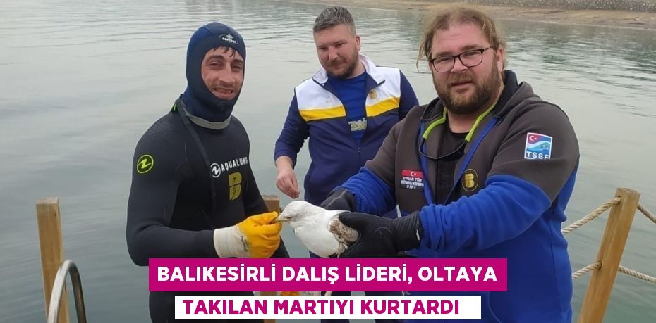 Balıkesirli dalış lideri, oltaya takılan martıyı kurtardı  