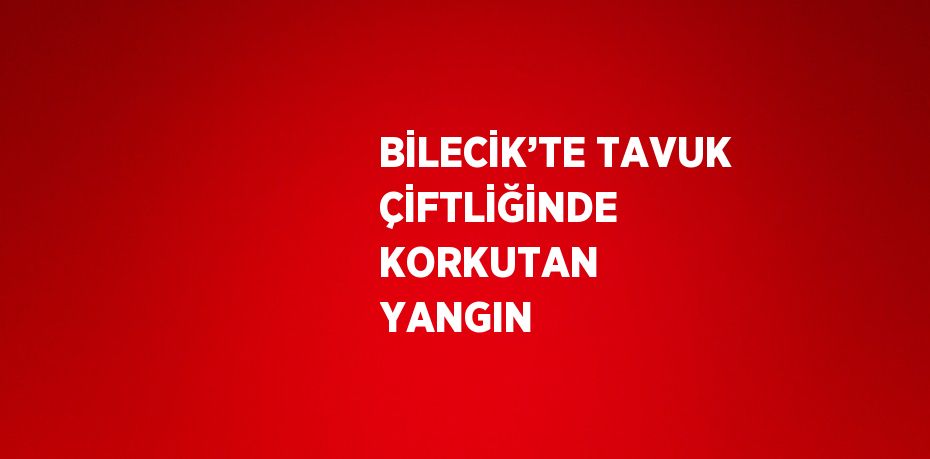 BİLECİK’TE TAVUK ÇİFTLİĞİNDE KORKUTAN YANGIN