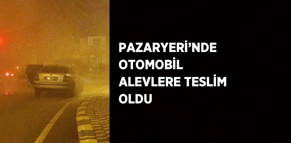 PAZARYERİ’NDE OTOMOBİL ALEVLERE TESLİM OLDU