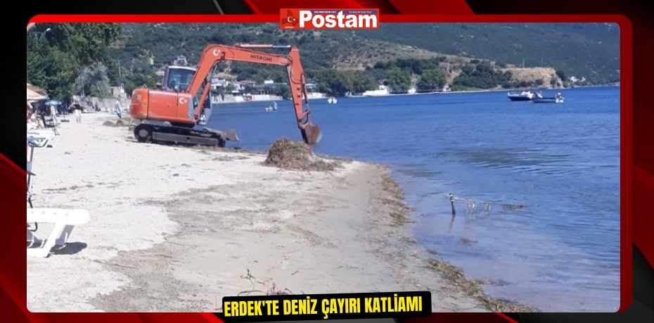 Erdek'te deniz çayırı katliamı