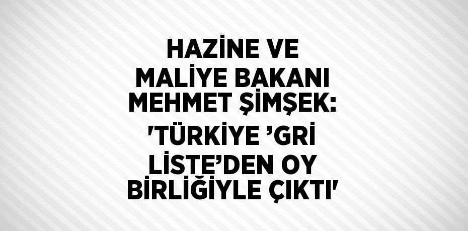 HAZİNE VE MALİYE BAKANI MEHMET ŞİMŞEK: 'TÜRKİYE ’GRİ LİSTE’DEN OY BİRLİĞİYLE ÇIKTI'