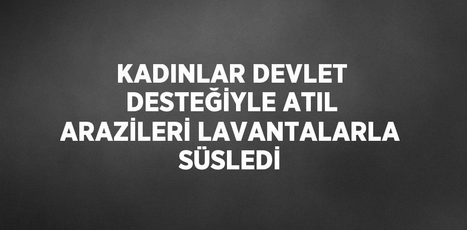 KADINLAR DEVLET DESTEĞİYLE ATIL ARAZİLERİ LAVANTALARLA SÜSLEDİ