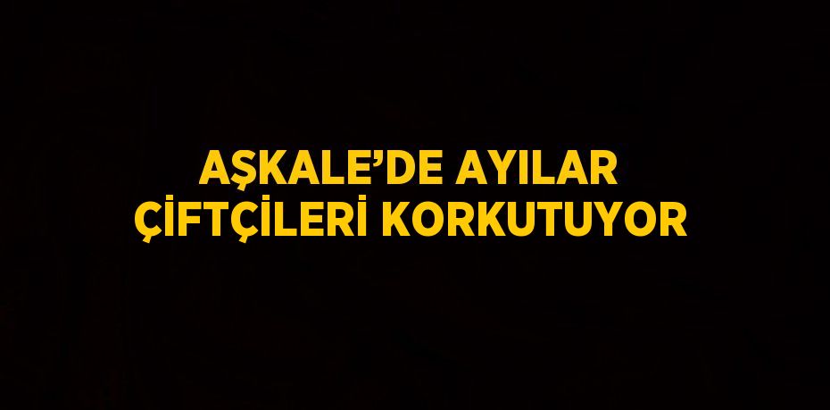 AŞKALE’DE AYILAR ÇİFTÇİLERİ KORKUTUYOR