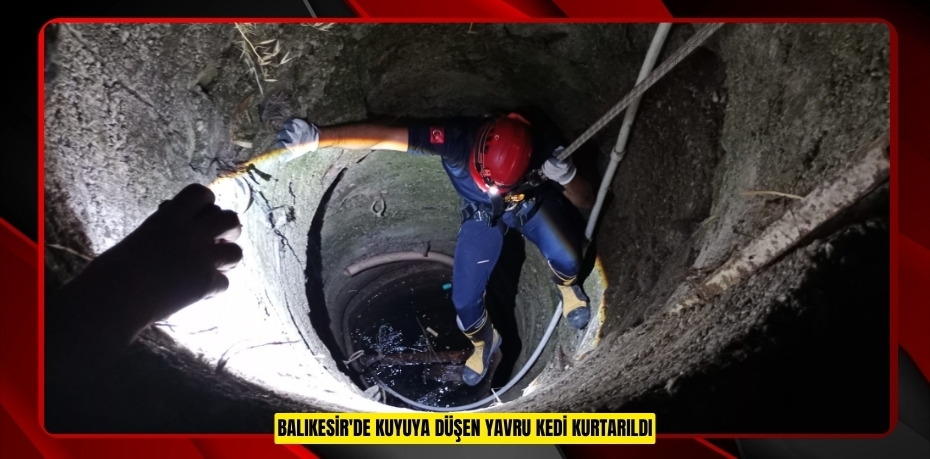 Balıkesir'de kuyuya düşen yavru kedi kurtarıldı