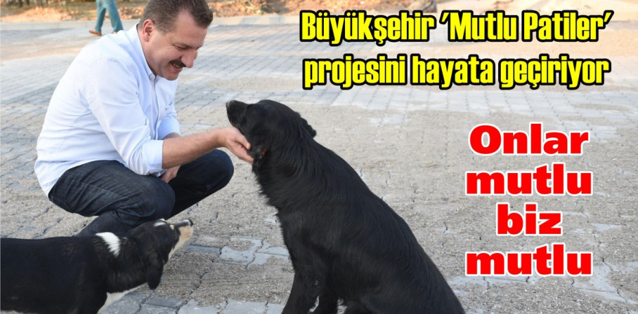 Büyükşehir ‘Mutlu Patiler’ projesini hayata geçiriyor