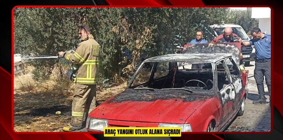 Araç yangını otluk alana sıçradı