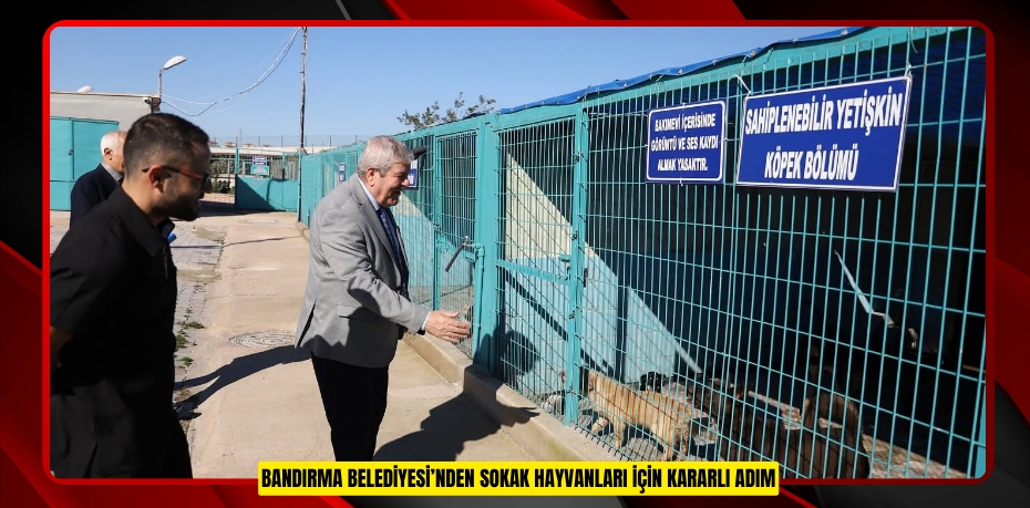 BANDIRMA BELEDİYESİ’NDEN SOKAK HAYVANLARI İÇİN KARARLI ADIM