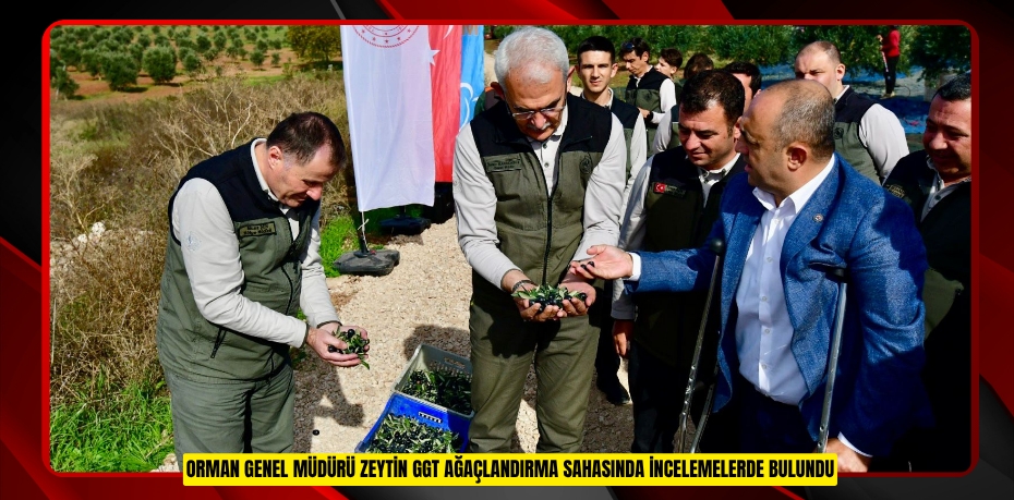 ORMAN GENEL MÜDÜRÜ ZEYTİN GGT AĞAÇLANDIRMA SAHASINDA İNCELEMELERDE BULUNDU