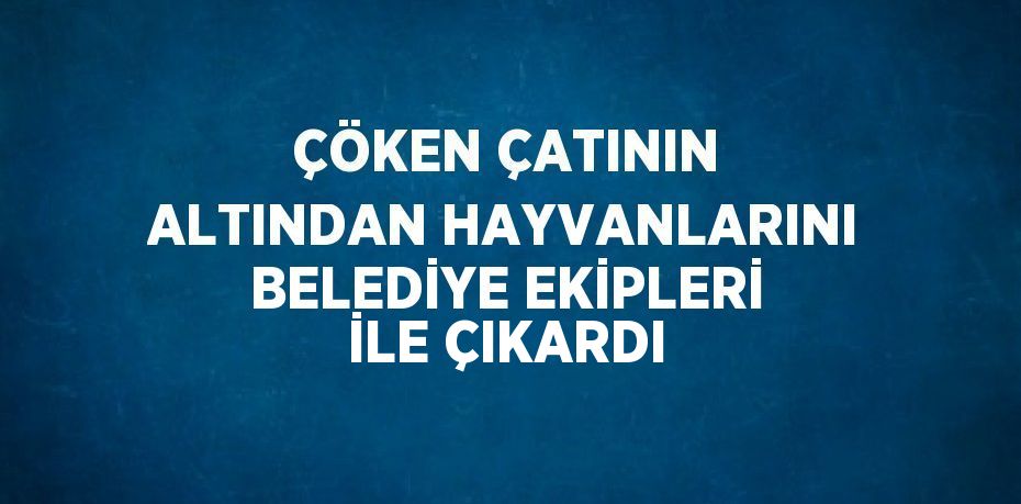 ÇÖKEN ÇATININ ALTINDAN HAYVANLARINI BELEDİYE EKİPLERİ İLE ÇIKARDI