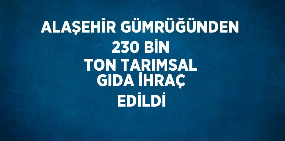 ALAŞEHİR GÜMRÜĞÜNDEN 230 BİN TON TARIMSAL GIDA İHRAÇ EDİLDİ
