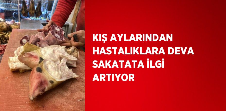 KIŞ AYLARINDAN HASTALIKLARA DEVA SAKATATA İLGİ ARTIYOR