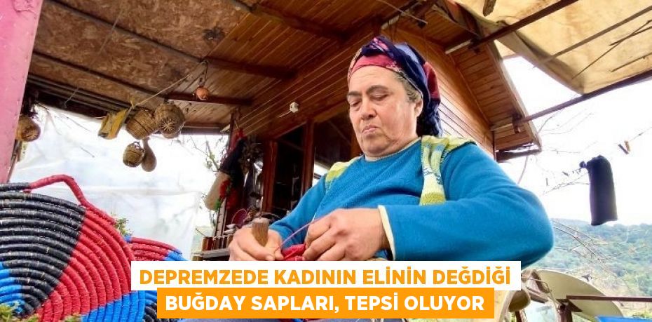 DEPREMZEDE KADININ ELİNİN DEĞDİĞİ BUĞDAY SAPLARI, TEPSİ OLUYOR