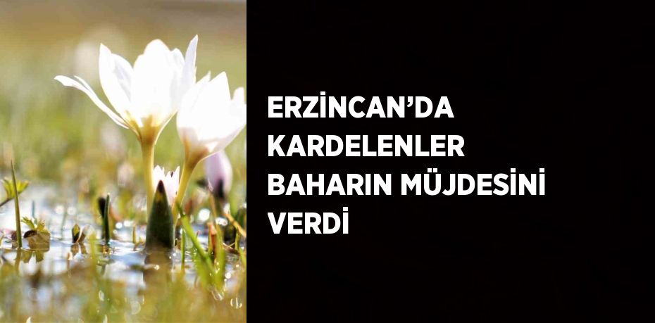 ERZİNCAN’DA KARDELENLER BAHARIN MÜJDESİNİ VERDİ