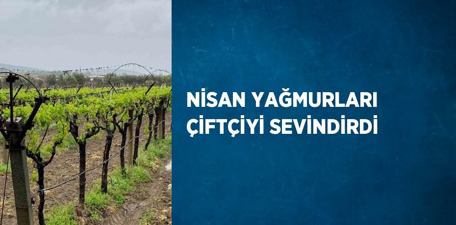 NİSAN YAĞMURLARI ÇİFTÇİYİ SEVİNDİRDİ