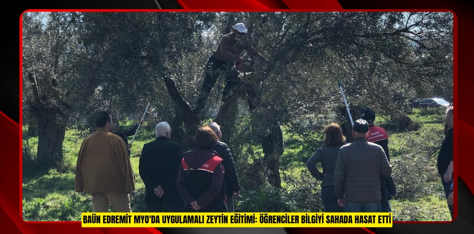 BAÜN EDREMİT MYO'DA UYGULAMALI ZEYTİN EĞİTİMİ: ÖĞRENCİLER BİLGİYİ SAHADA HASAT ETTİ