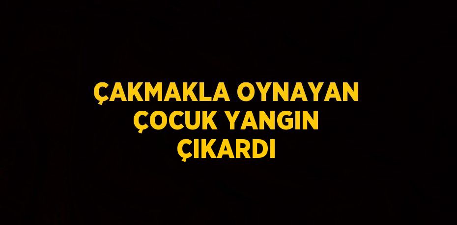 ÇAKMAKLA OYNAYAN ÇOCUK YANGIN ÇIKARDI