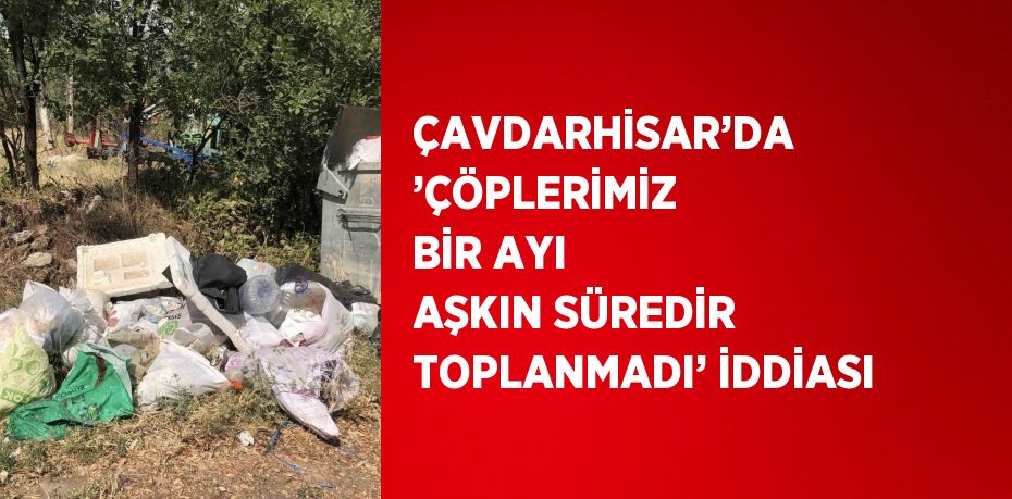 ÇAVDARHİSAR’DA ’ÇÖPLERİMİZ BİR AYI AŞKIN SÜREDİR TOPLANMADI’ İDDİASI