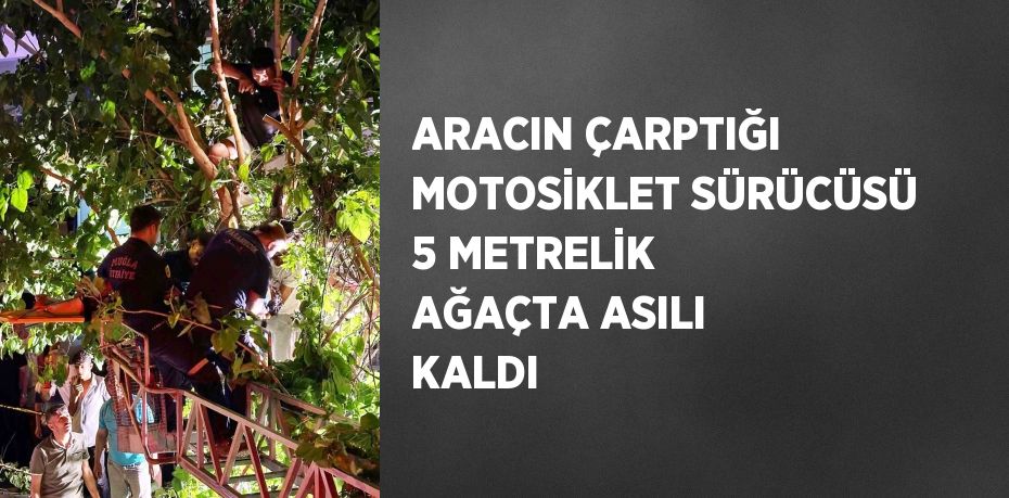 ARACIN ÇARPTIĞI MOTOSİKLET SÜRÜCÜSÜ 5 METRELİK AĞAÇTA ASILI KALDI