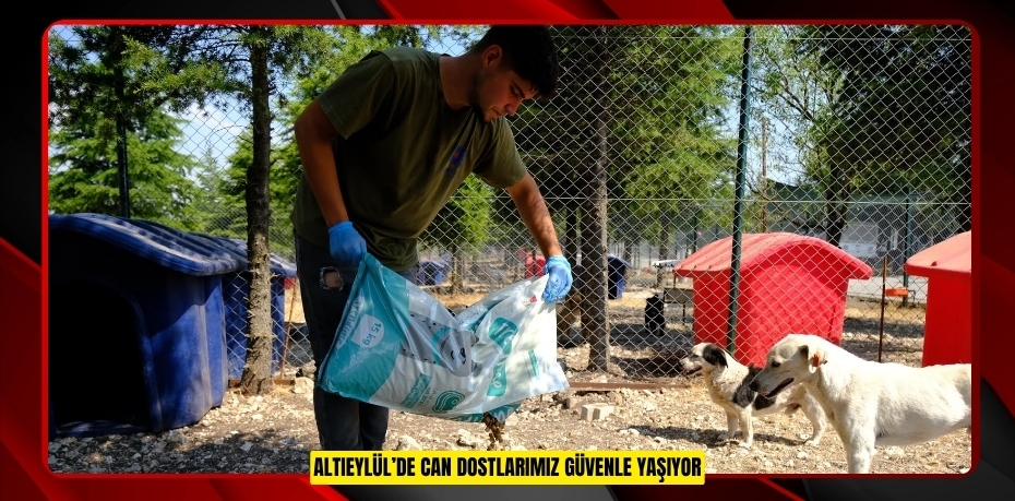 ALTIEYLÜL’DE CAN DOSTLARIMIZ GÜVENLE YAŞIYOR