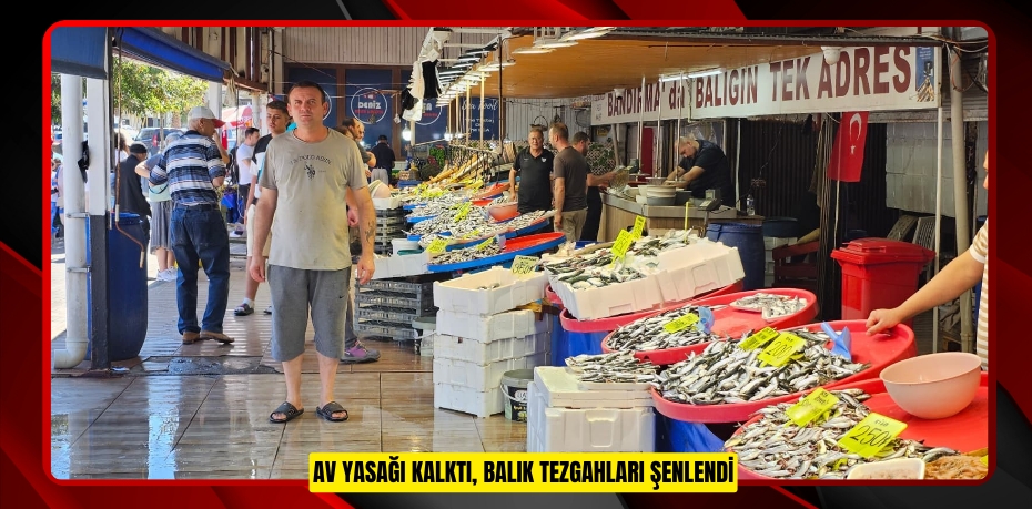 Av yasağı kalktı, balık tezgahları şenlendi