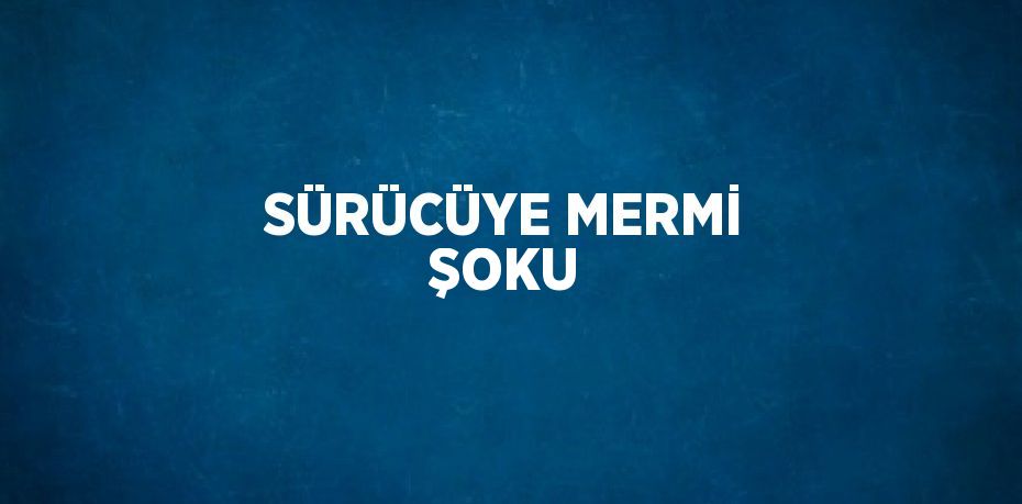 SÜRÜCÜYE MERMİ ŞOKU
