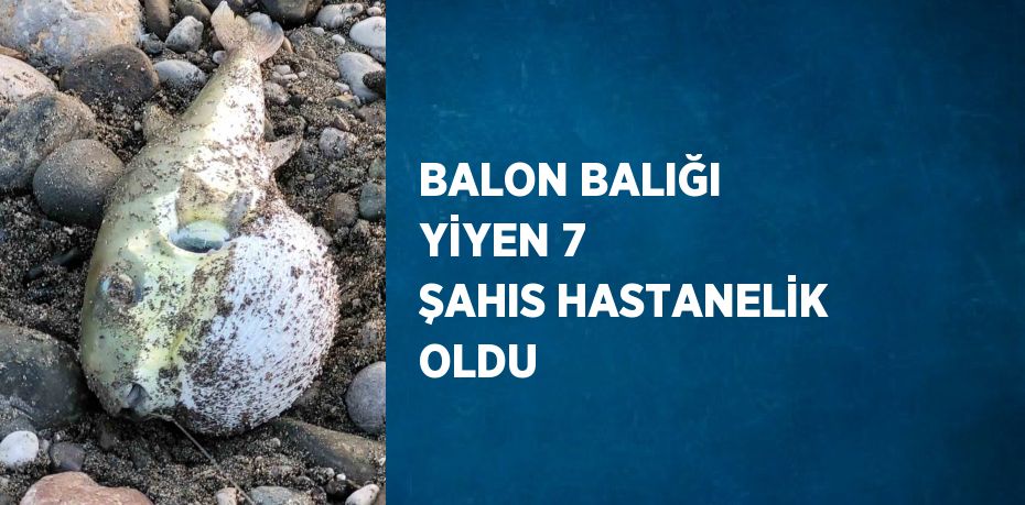 BALON BALIĞI YİYEN 7 ŞAHIS HASTANELİK OLDU