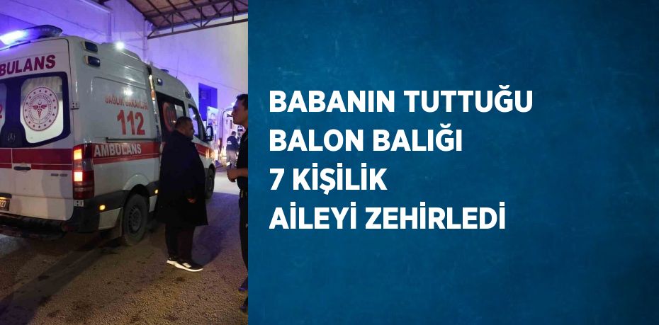 BABANIN TUTTUĞU BALON BALIĞI 7 KİŞİLİK AİLEYİ ZEHİRLEDİ