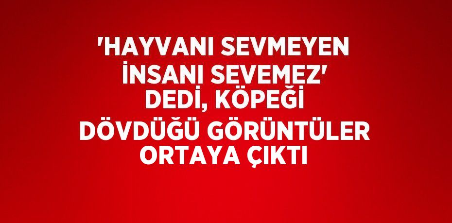 'HAYVANI SEVMEYEN İNSANI SEVEMEZ' DEDİ, KÖPEĞİ DÖVDÜĞÜ GÖRÜNTÜLER ORTAYA ÇIKTI