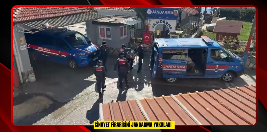 Cinayet firarisini jandarma yakaladı