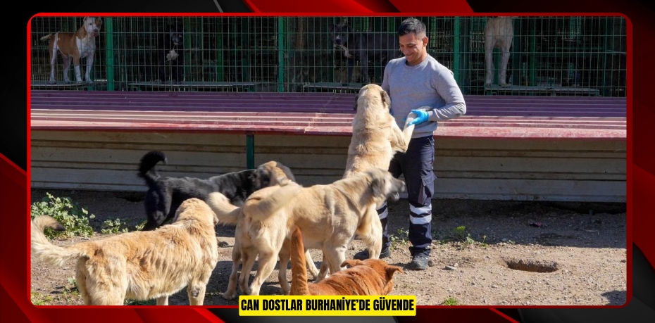 CAN DOSTLAR BURHANİYE’DE GÜVENDE