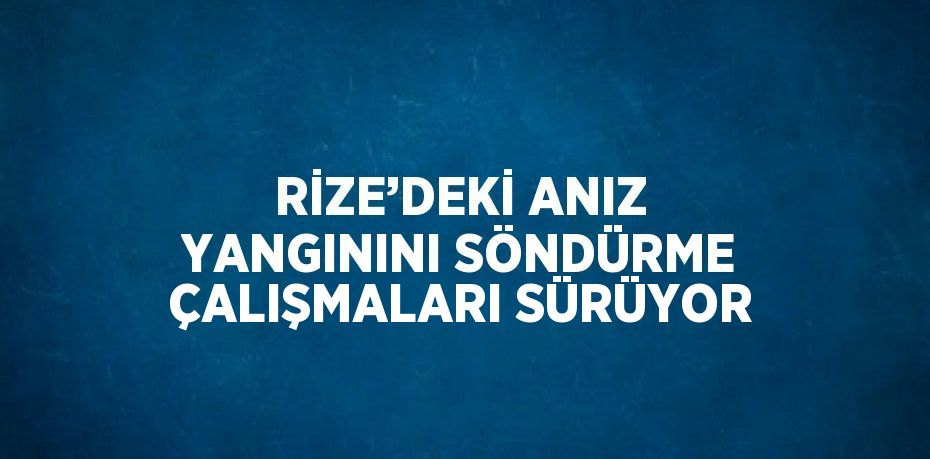 RİZE’DEKİ ANIZ YANGININI SÖNDÜRME ÇALIŞMALARI SÜRÜYOR