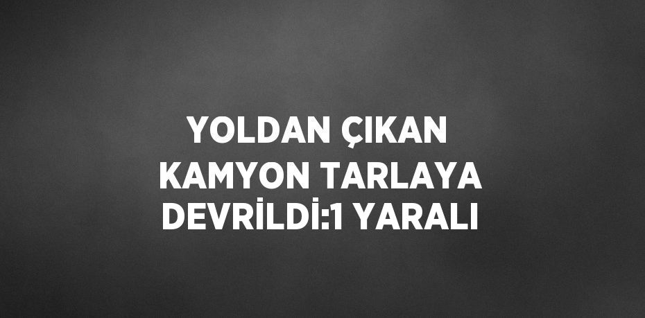 YOLDAN ÇIKAN KAMYON TARLAYA DEVRİLDİ:1 YARALI