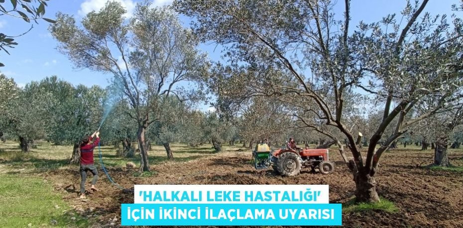 'Halkalı leke hastalığı' için ikinci ilaçlama uyarısı
