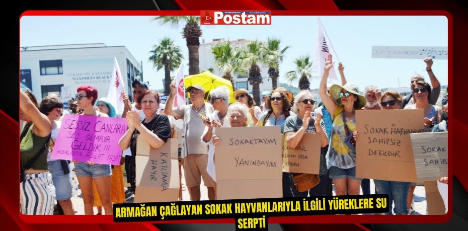 ARMAĞAN ÇAĞLAYAN SOKAK HAYVANLARIYLA İLGİLİ YÜREKLERE SU SERPTİ