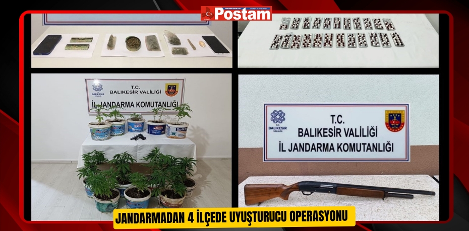 Jandarmadan 4 ilçede uyuşturucu operasyonu