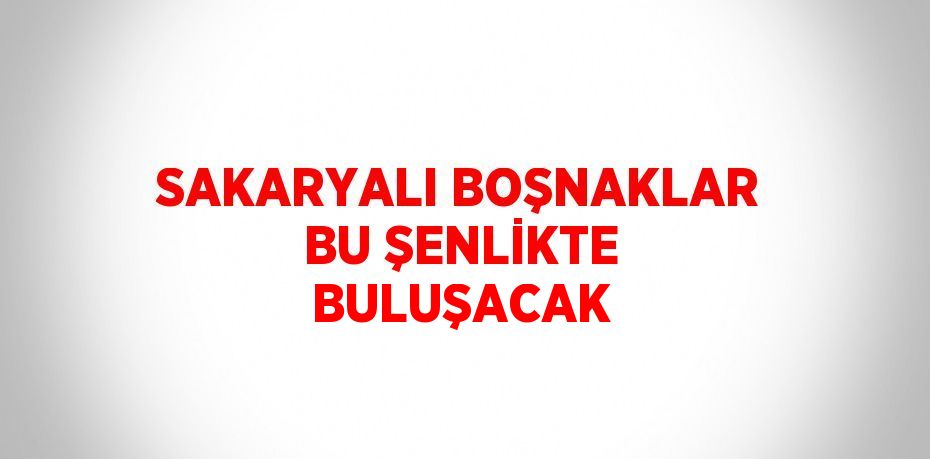SAKARYALI BOŞNAKLAR BU ŞENLİKTE BULUŞACAK