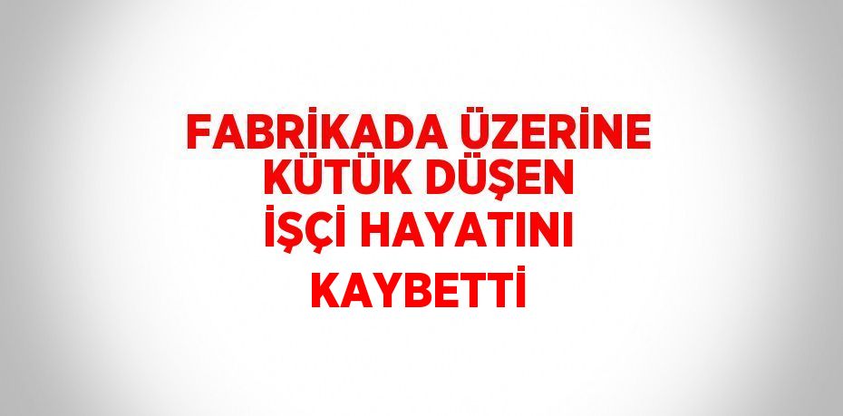 FABRİKADA ÜZERİNE KÜTÜK DÜŞEN İŞÇİ HAYATINI KAYBETTİ