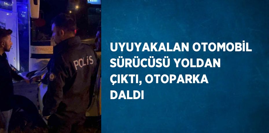 UYUYAKALAN OTOMOBİL SÜRÜCÜSÜ YOLDAN ÇIKTI, OTOPARKA DALDI