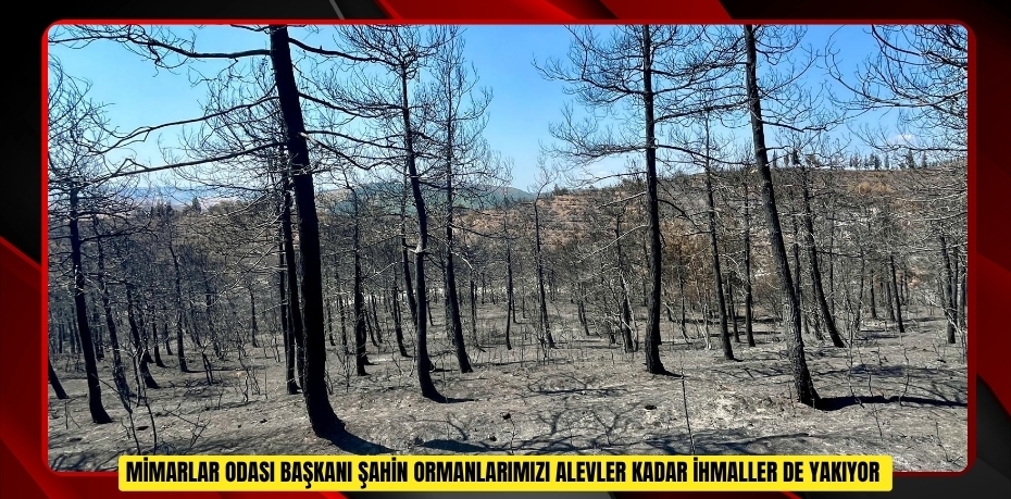 Mimarlar Odası Başkanı Şahin: "Ormanlarımızı alevler kadar ihmaller de yakıyor"