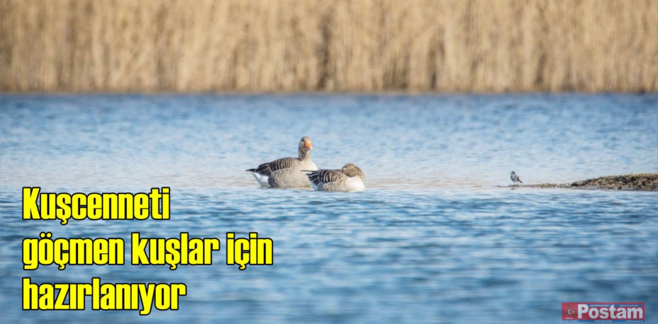 Kuşcenneti göçmen kuşlar için hazırlanıyor