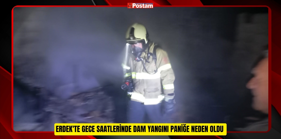 Erdek'te gece saatlerinde dam yangını paniğe neden oldu