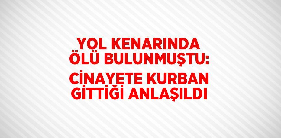 YOL KENARINDA ÖLÜ BULUNMUŞTU: CİNAYETE KURBAN GİTTİĞİ ANLAŞILDI