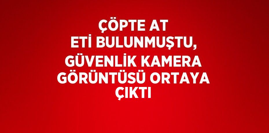 ÇÖPTE AT ETİ BULUNMUŞTU, GÜVENLİK KAMERA GÖRÜNTÜSÜ ORTAYA ÇIKTI