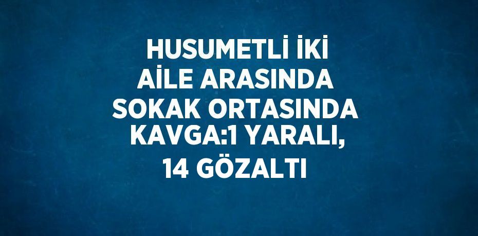 HUSUMETLİ İKİ AİLE ARASINDA SOKAK ORTASINDA KAVGA:1 YARALI, 14 GÖZALTI