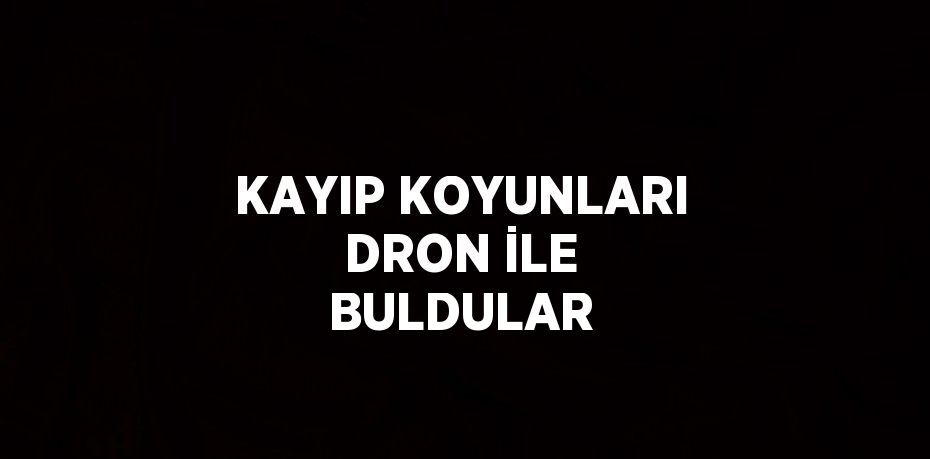 KAYIP KOYUNLARI DRON İLE BULDULAR