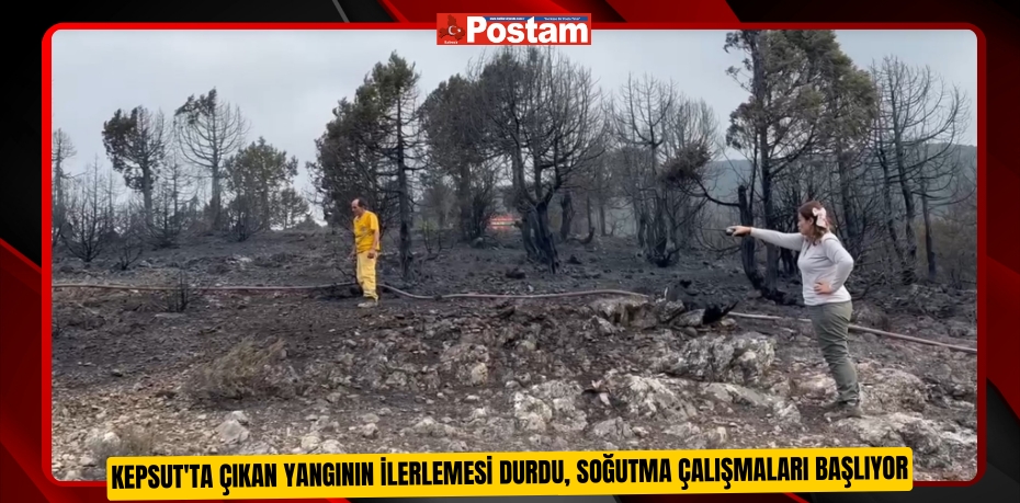 Kepsut'ta çıkan yangının ilerlemesi durdu, soğutma çalışmaları başlıyor